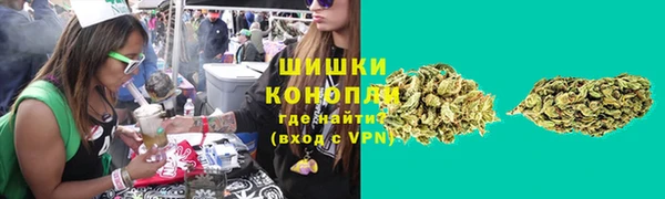 стаф Бронницы