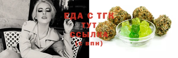 шишки Осташков