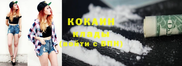 шишки Осташков