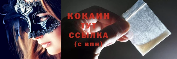шишки Осташков