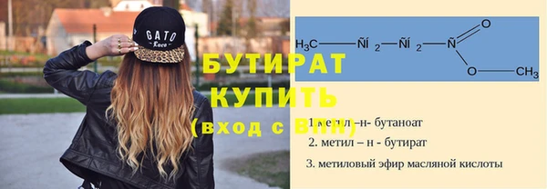 шишки Осташков