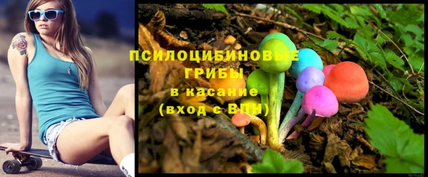 шишки Осташков
