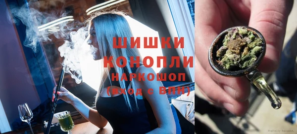 стаф Няндома