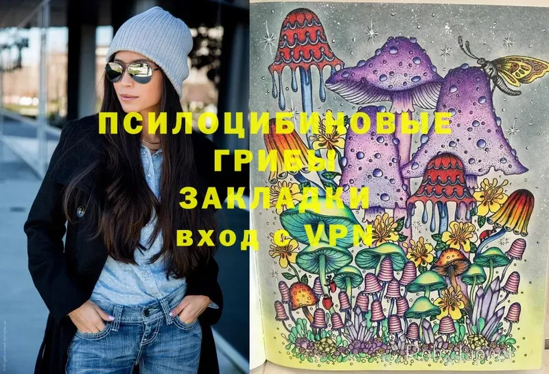 Галлюциногенные грибы Cubensis  Кириллов 