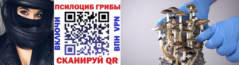 МЕГА   Кириллов  Псилоцибиновые грибы прущие грибы 